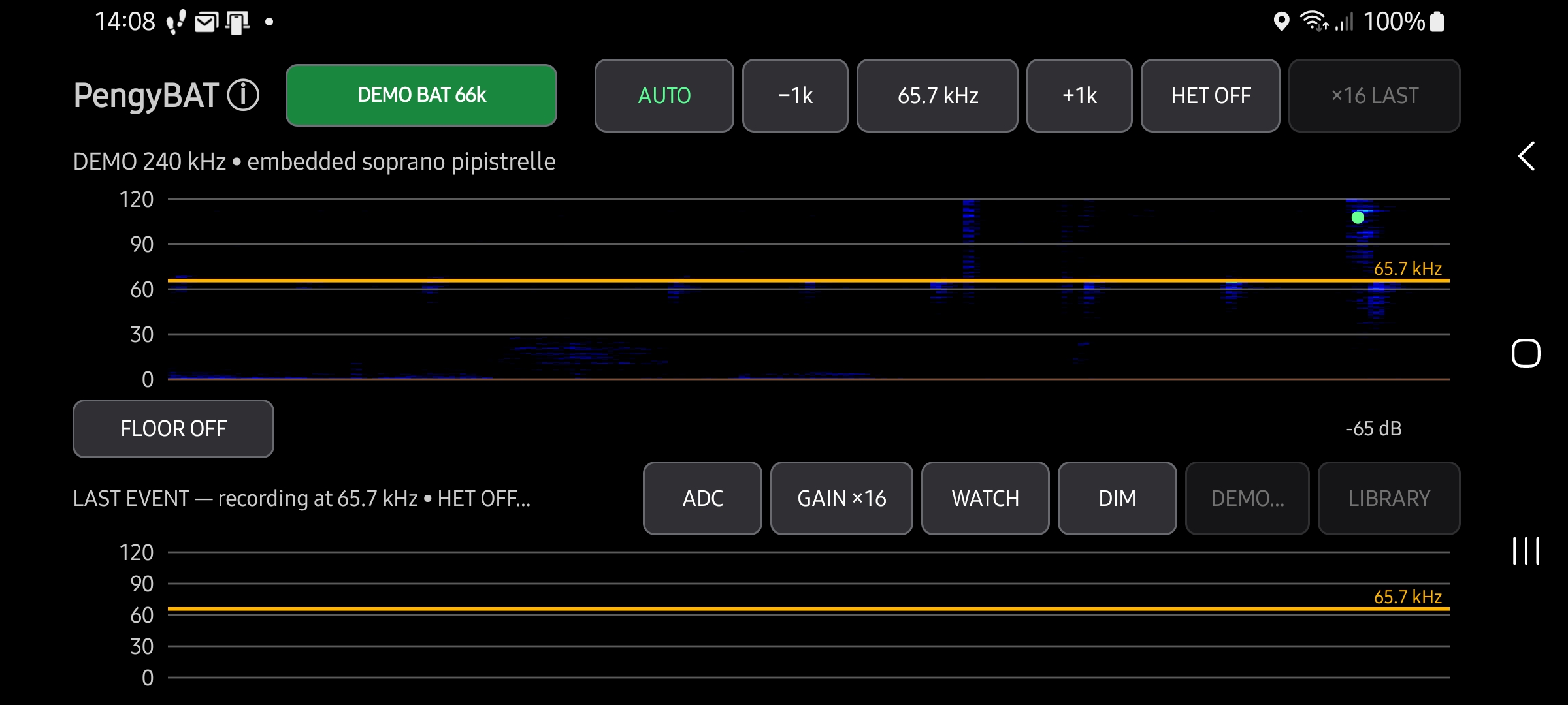 PengyBAT displaying real bat calls